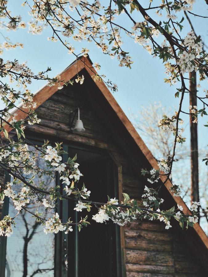 Visoko Gorani Cottage Exterior photo