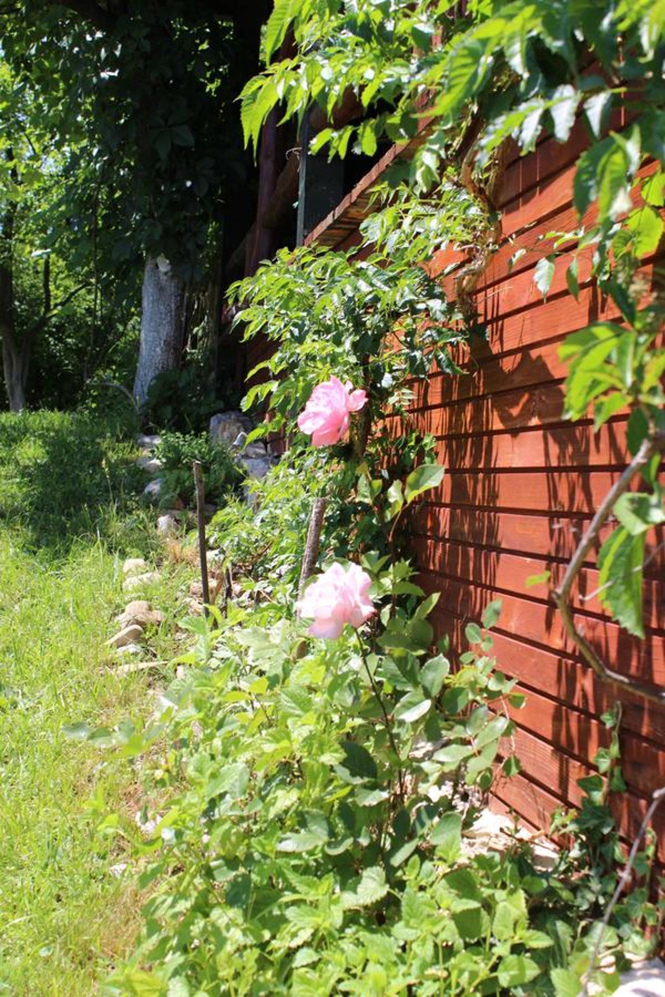 Visoko Gorani Cottage Exterior photo